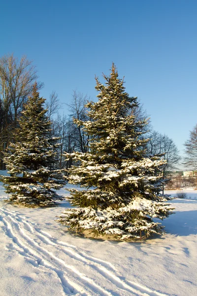 Panorama de paisaje de invierno —  Fotos de Stock