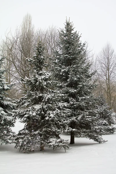 Panorama paesaggio invernale — Foto Stock