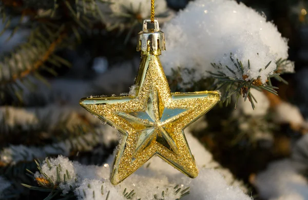 冷杉的树枝上的圣诞装饰 — 图库照片