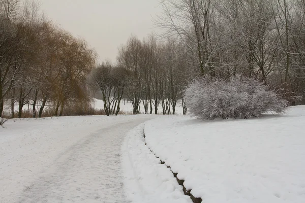 Winter landscape panorama — Stock Photo, Image