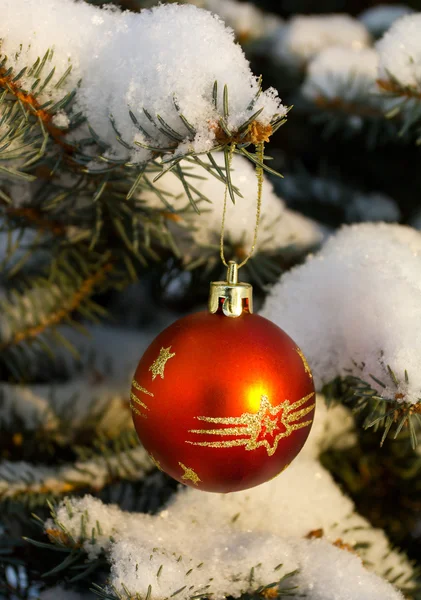 Рождественские украшения на еловой ветке — стоковое фото