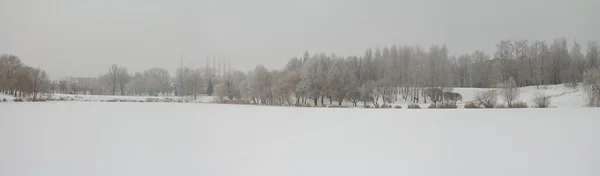Взимку краєвид Панорама — стокове фото