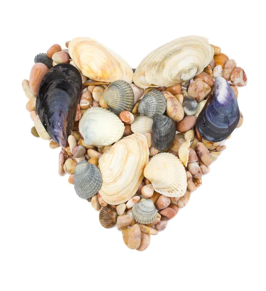 Coração de conchas e pedras — Fotografia de Stock