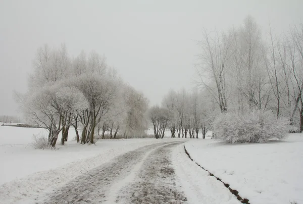 Karla kaplı parkta yol — Stok fotoğraf