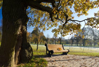 Bench in autumn park clipart