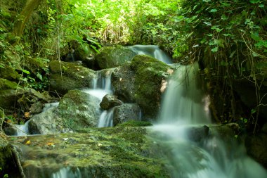 Beautiful waterfall on small forest stream clipart