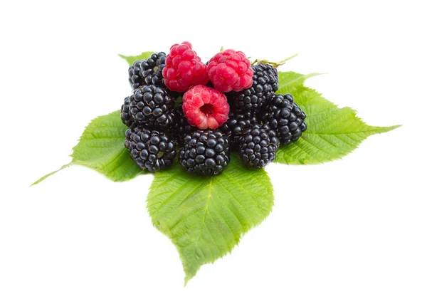Blackberries and raspberries on leaves — Stock Photo, Image