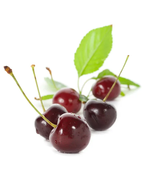 Ripe cherries with leaves — Stock Photo, Image