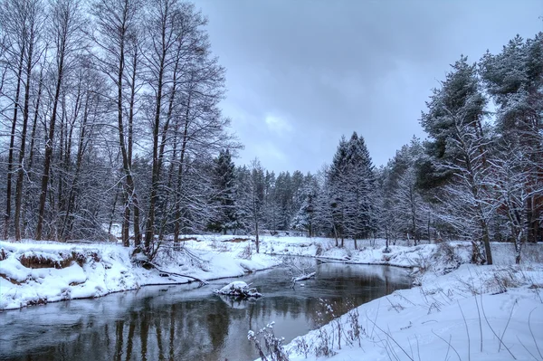 Pequeno Rio Que Flui Através Floresta Inverno — Fotografia de Stock