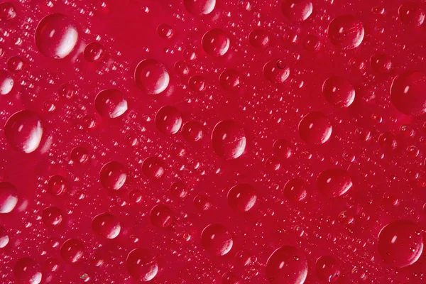 Many Drops Water Red Background — Stock Photo, Image
