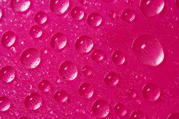 Капли воды на розовом — стоковое фото