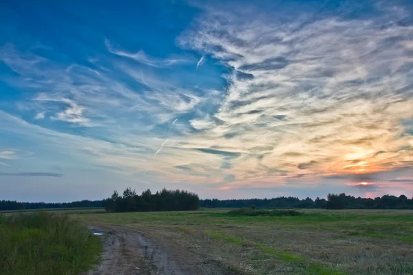 Vägen i fältet vid soluppgången — Stockfoto