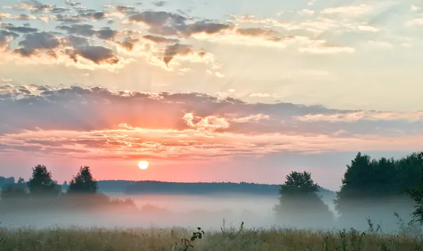 Схід сонця хмарочос на полі з туманом — стокове фото