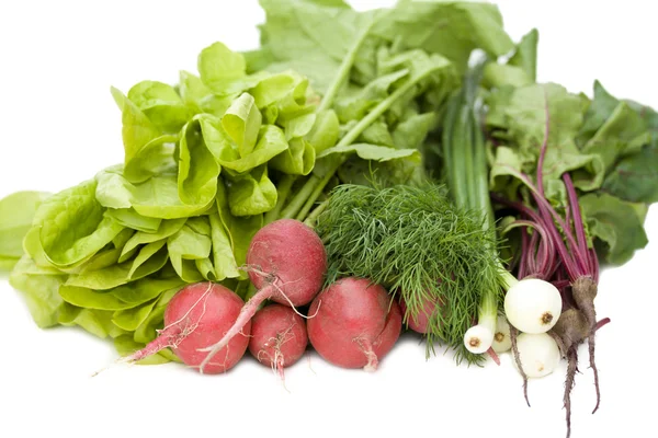 Haufen mit neuem Gemüse — Stockfoto