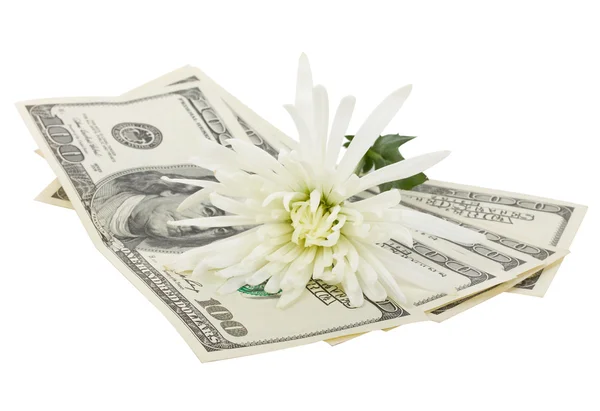 Dollars and flower — Stock Photo, Image