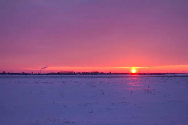 Idyllic sunset at the field — Stock Photo, Image