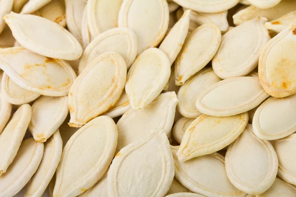 stock image Seeds of pumpkin