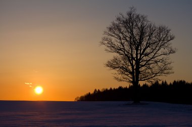 Sunset over the field clipart