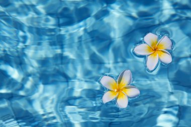 Flowers in water clipart