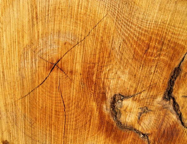 Естественная деревянная текстура — стоковое фото