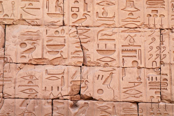Egyptiska hieroglyf — Stockfoto