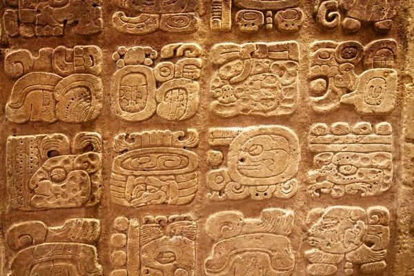 Mayan hieroglyphs Royalty Free Stock Images