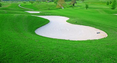 Yeşil çimenlerin üzerinde Golf
