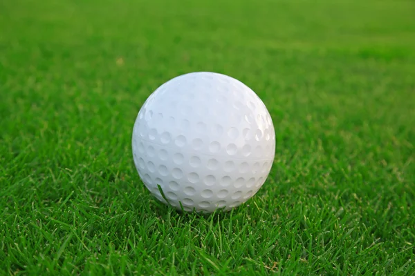 Golf Labda Zöld Füvön — Stock Fotó