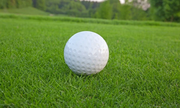 Bola Golfe Grama Verde — Fotografia de Stock
