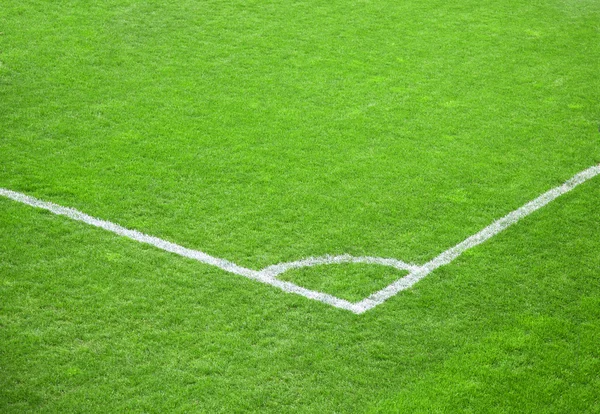 Zielona Trawa Boiska Piłki Nożnej Piłka Nożna — Zdjęcie stockowe
