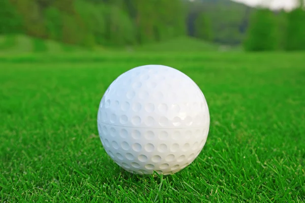 Yeşil Çimlerin Üzerinde Golf Topu — Stok fotoğraf