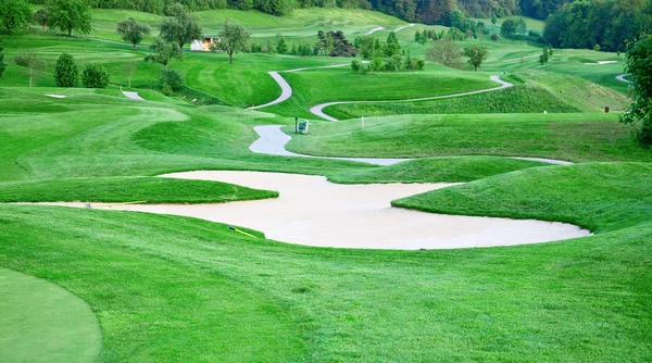 高尔夫球场的绿草 — 图库照片