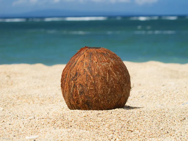 Coconut on the sand — Stock Photo, Image