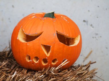 Cadılar Bayramı Balkabağı