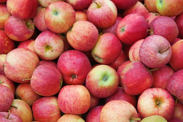 stock image Red ripe apple