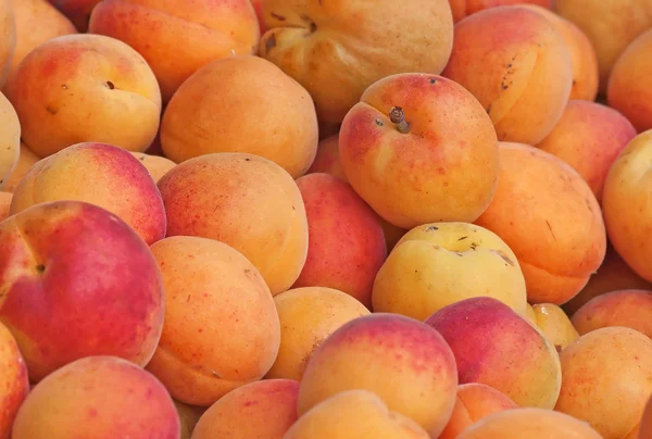 Fresh natural apricot background — Stock Photo, Image