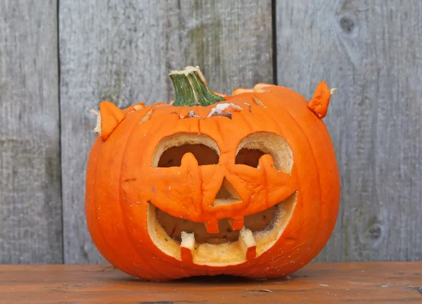 stock image Halloween pumpkin