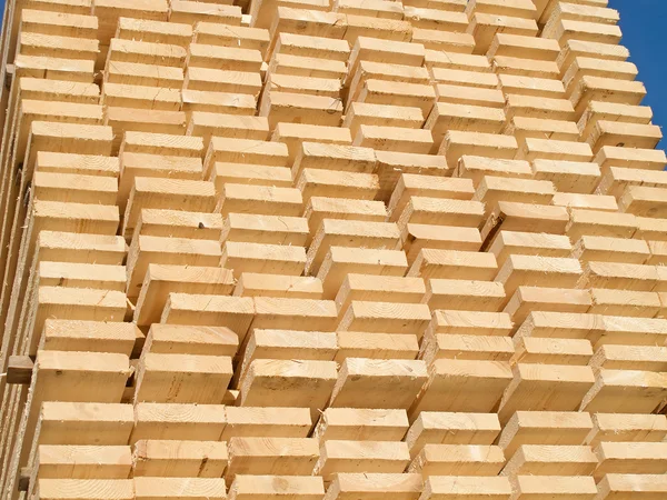 Borchie di legno fresco — Foto Stock