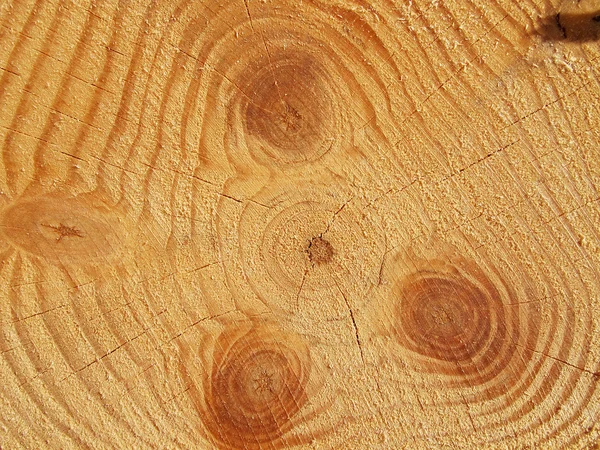Textura de madeira luz natural — Fotografia de Stock