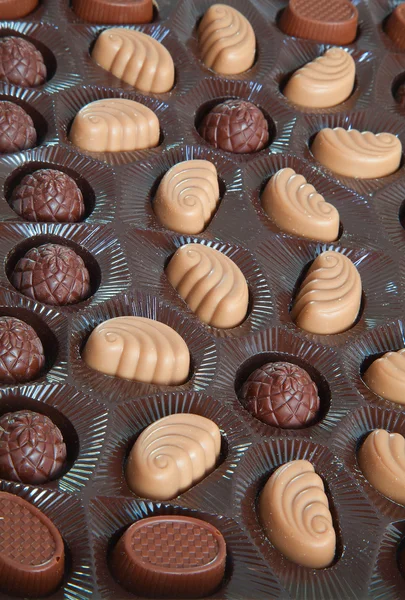 Wybór czekoladek — Zdjęcie stockowe