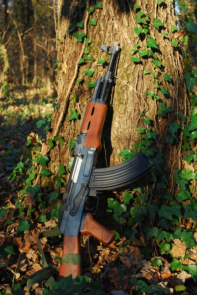 Kalashnikov — Foto Stock