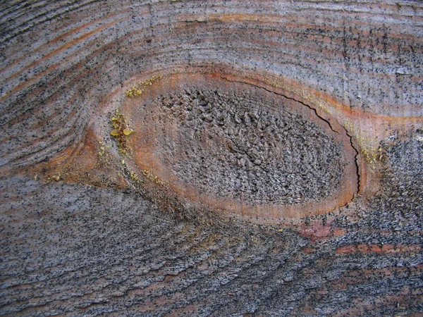 Struktur av trä ombord — Stockfoto