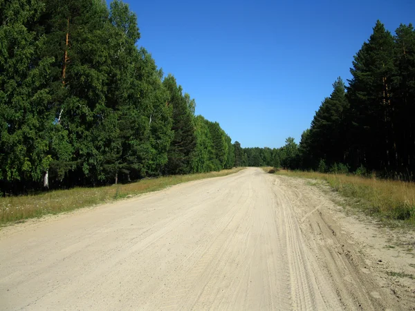Estrada, floresta e céu azul — Fotografia de Stock