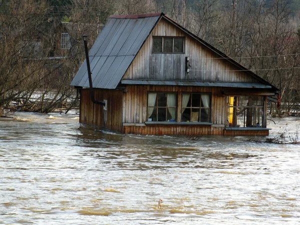 Inondation printanière — Photo