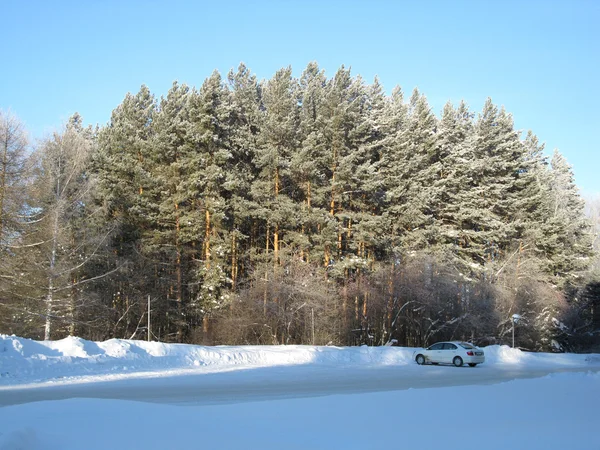 Winterwald und Straße — Stockfoto