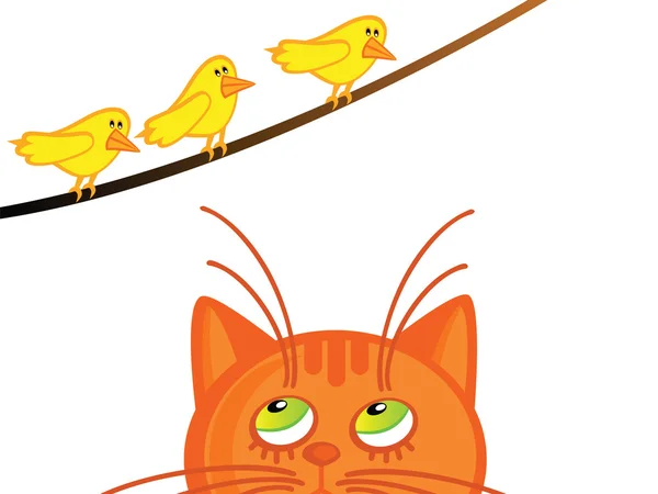 Die Rote Katze Blickt Auf Drei Gelbe Birdies Isoliert — Stockvektor