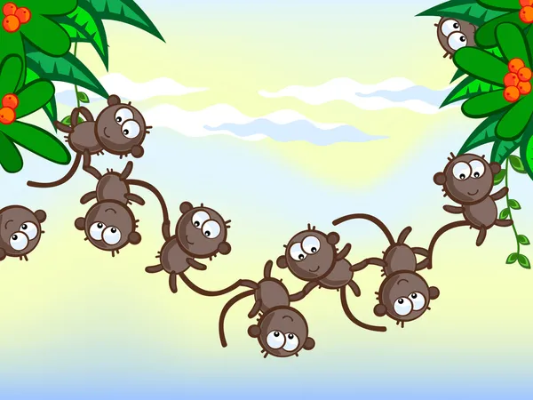 Pont vivant des singes — Image vectorielle