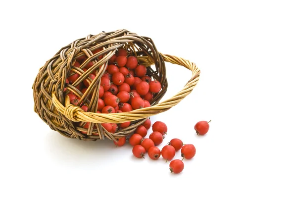 Hawthorn in a basket. — Stock Photo, Image