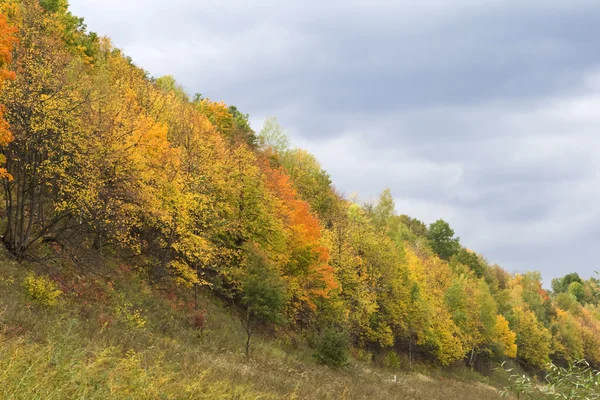 stock image Autumn landscape.