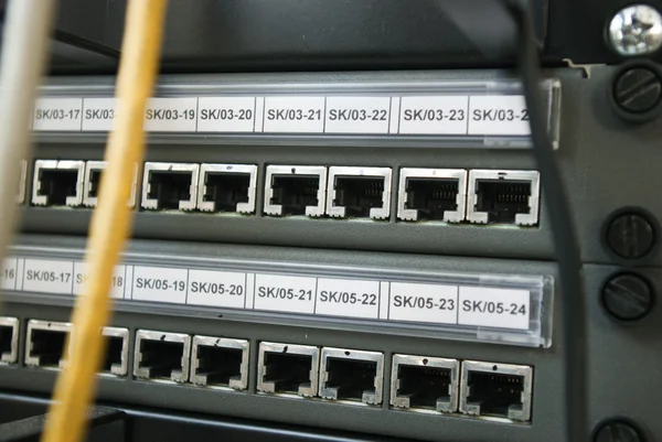 电缆插头由互联网服务器 — 图库照片